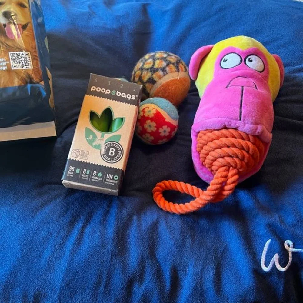 Pooch Pen Pet Bed Puppy Pads Clean Up Bags Kong Balls Toys Bundle 🥳 Host Pick 🥳